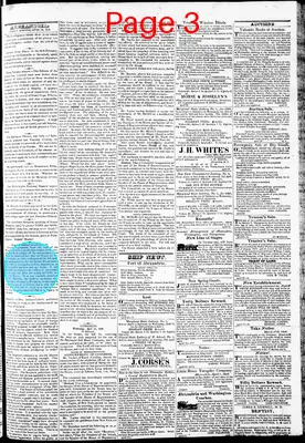 Page thumbnail for Phenix Gazette