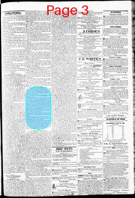 Page thumbnail for Phenix Gazette