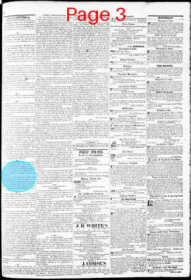 Page thumbnail for Phenix Gazette