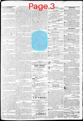 Page thumbnail for Phenix Gazette