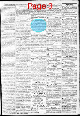 Page thumbnail for Phenix Gazette