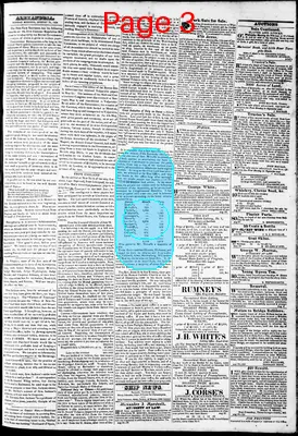 Page thumbnail for Phenix Gazette