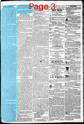 Page thumbnail for Phenix Gazette
