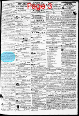 Page thumbnail for Phenix Gazette
