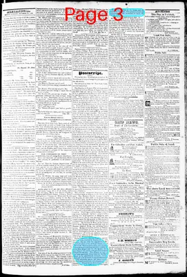Page thumbnail for Phenix Gazette