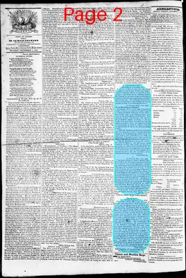 Page thumbnail for Phenix Gazette