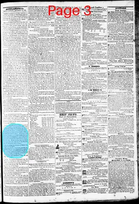 Page thumbnail for Phenix Gazette