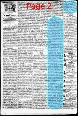 Page thumbnail for Phenix Gazette
