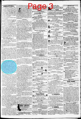 Page thumbnail for Phenix Gazette