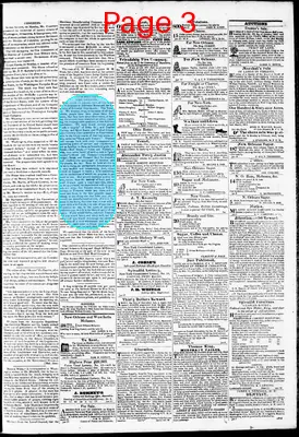 Page thumbnail for Phenix Gazette