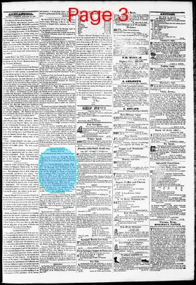 Page thumbnail for Phenix Gazette