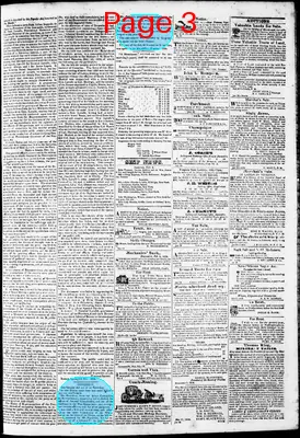 Page thumbnail for Phenix Gazette