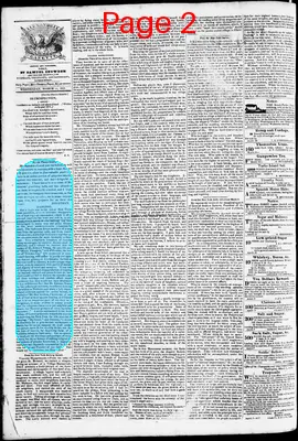 Page thumbnail for Phenix Gazette