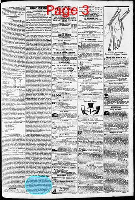 Page thumbnail for Phenix Gazette
