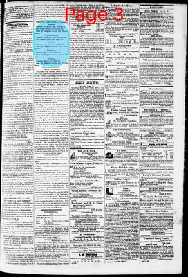 Page thumbnail for Phenix Gazette