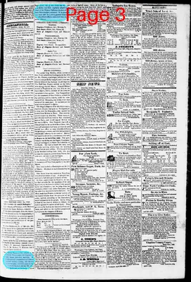 Page thumbnail for Phenix Gazette