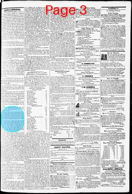 Page thumbnail for Phenix Gazette