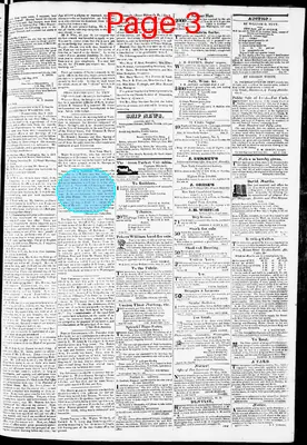 Page thumbnail for Phenix Gazette