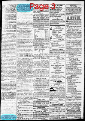 Page thumbnail for Phenix Gazette
