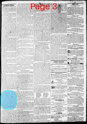 Page thumbnail for Phenix Gazette