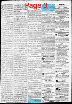 Page thumbnail for Phenix Gazette