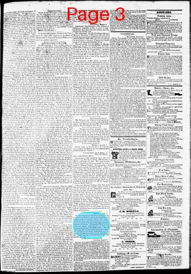 Page thumbnail for Phenix Gazette