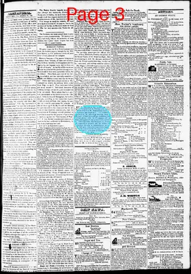Page thumbnail for Phenix Gazette