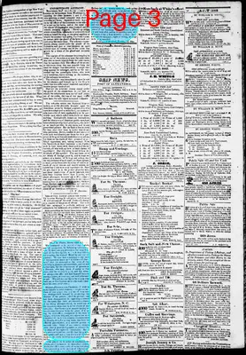 Page thumbnail for Phenix Gazette