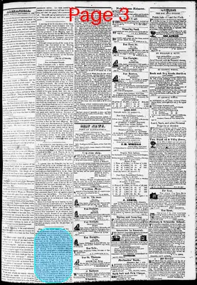 Page thumbnail for Phenix Gazette