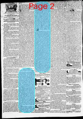 Page thumbnail for Phenix Gazette