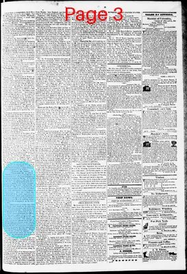 Page thumbnail for Phenix Gazette