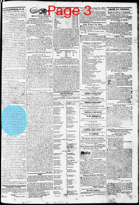 Page thumbnail for Phenix Gazette