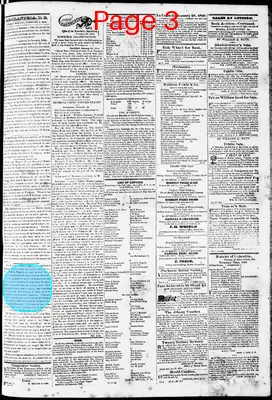 Page thumbnail for Phenix Gazette
