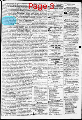 Page thumbnail for Phenix Gazette