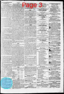 Page thumbnail for Phenix Gazette