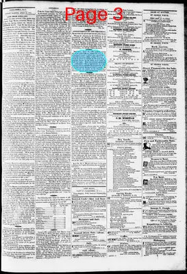 Page thumbnail for Phenix Gazette