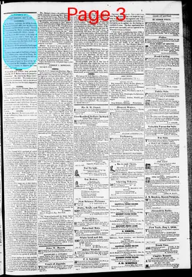 Page thumbnail for Phenix Gazette