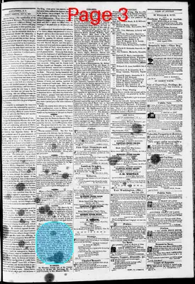 Page thumbnail for Phenix Gazette