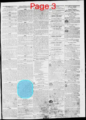 Page thumbnail for Phenix Gazette