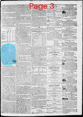 Page thumbnail for Phenix Gazette