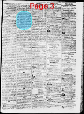 Page thumbnail for Phenix Gazette