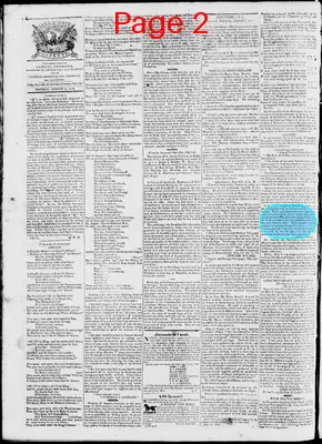 Page thumbnail for Phenix Gazette