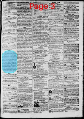 Page thumbnail for Phenix Gazette