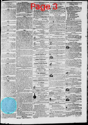 Page thumbnail for Phenix Gazette