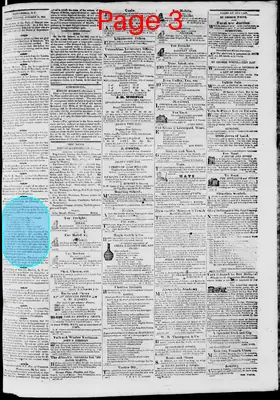 Page thumbnail for Phenix Gazette