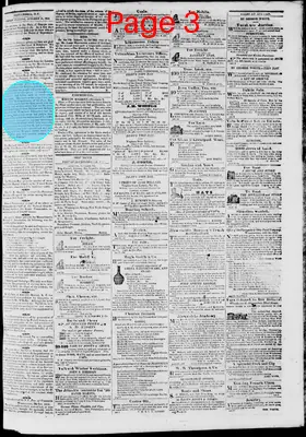 Page thumbnail for Phenix Gazette