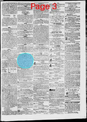 Page thumbnail for Phenix Gazette