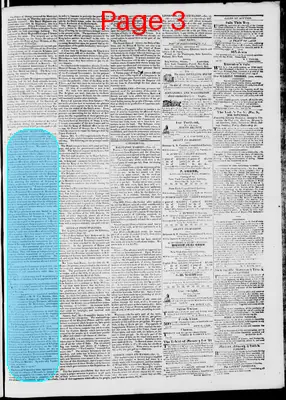 Page thumbnail for Phenix Gazette