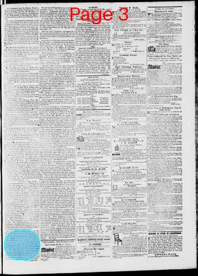 Page thumbnail for Phenix Gazette