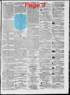 Page thumbnail for Phenix Gazette